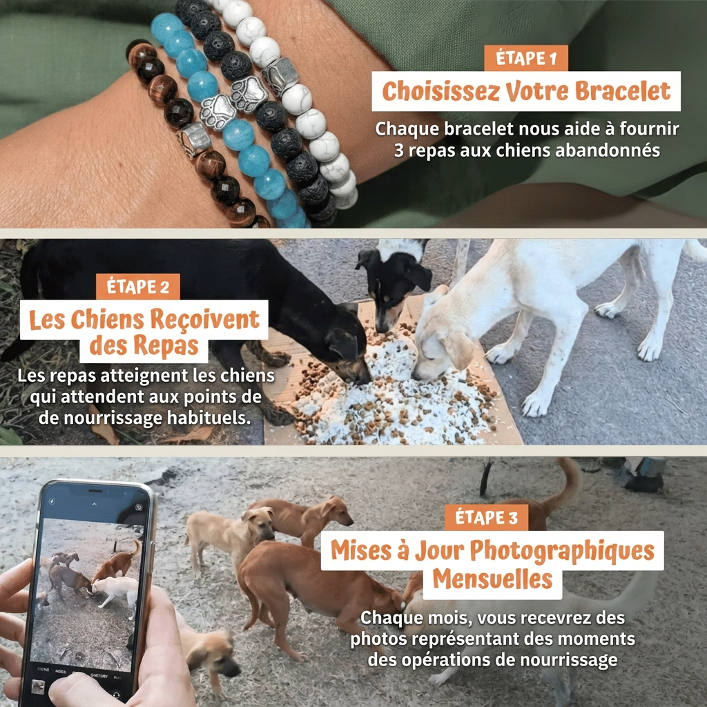 Bracelet Sans Collier - Violet Majestic