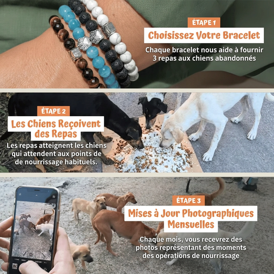 Bracelet Sans Collier - Violet Majestic